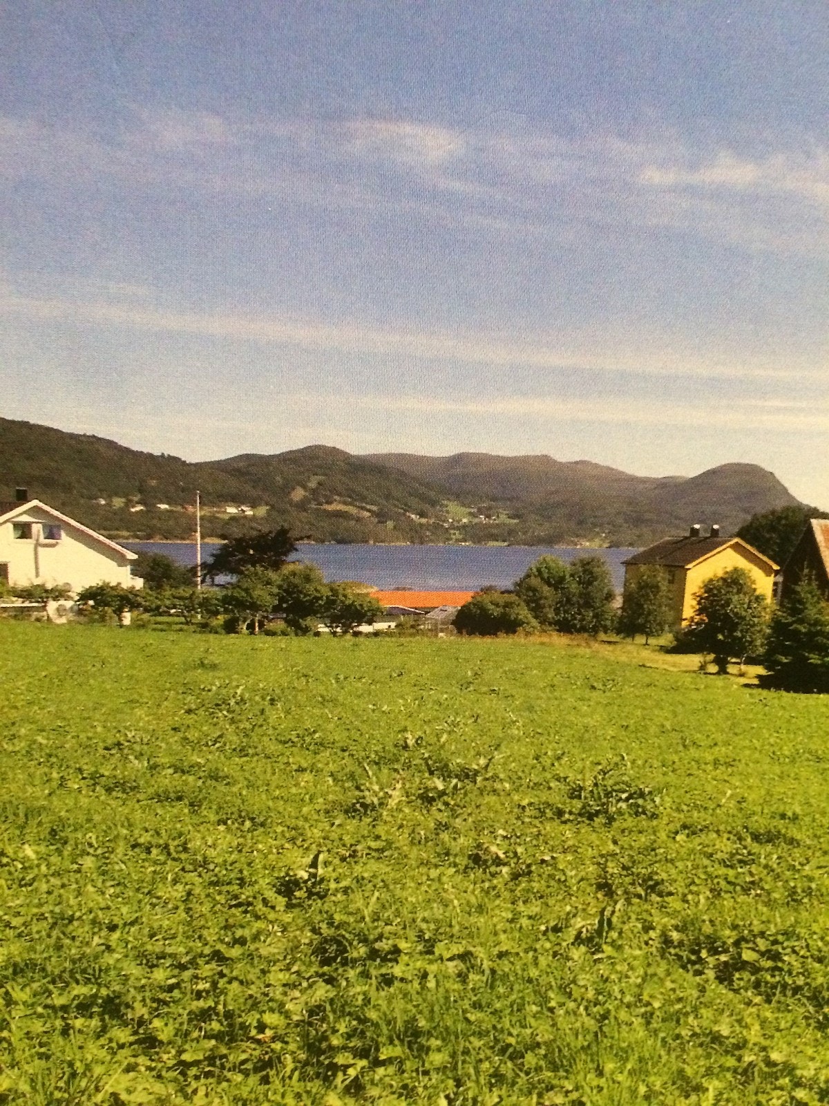 Fin og åpen utsikt(Kornstadfjorden). Galleribilde