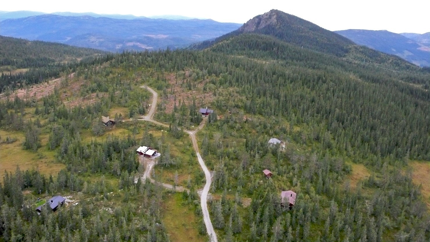 Ballongfoto Galleribilde