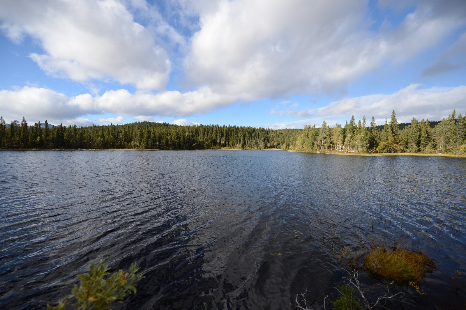 Langetjønn Galleribilde