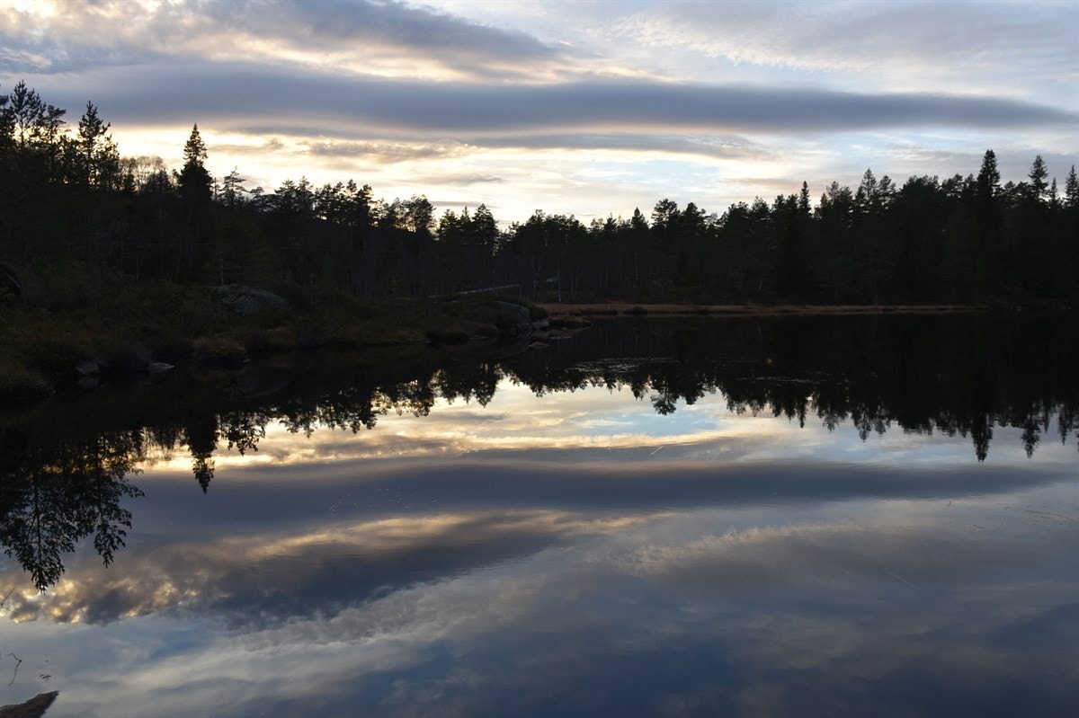 Drømmeutsikt fra den nye hytta deres Galleribilde