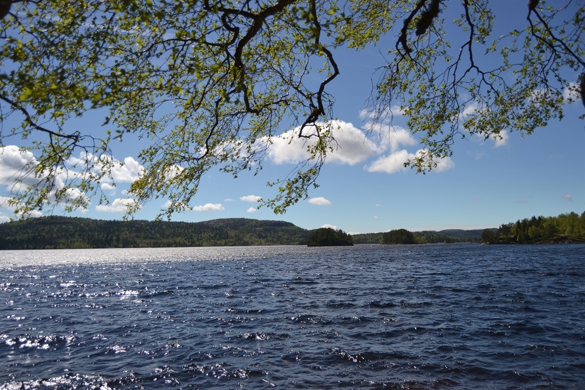 Høvringsvannet Galleribilde
