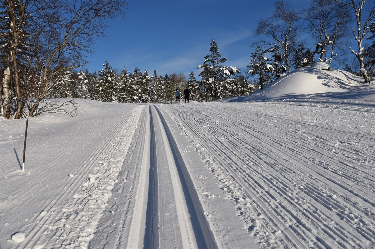 Mange mil med flotte skiløyper i nærområdet Galleribilde
