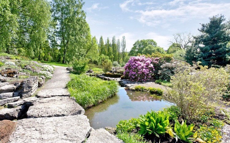 Botanisk hage Galleribilde