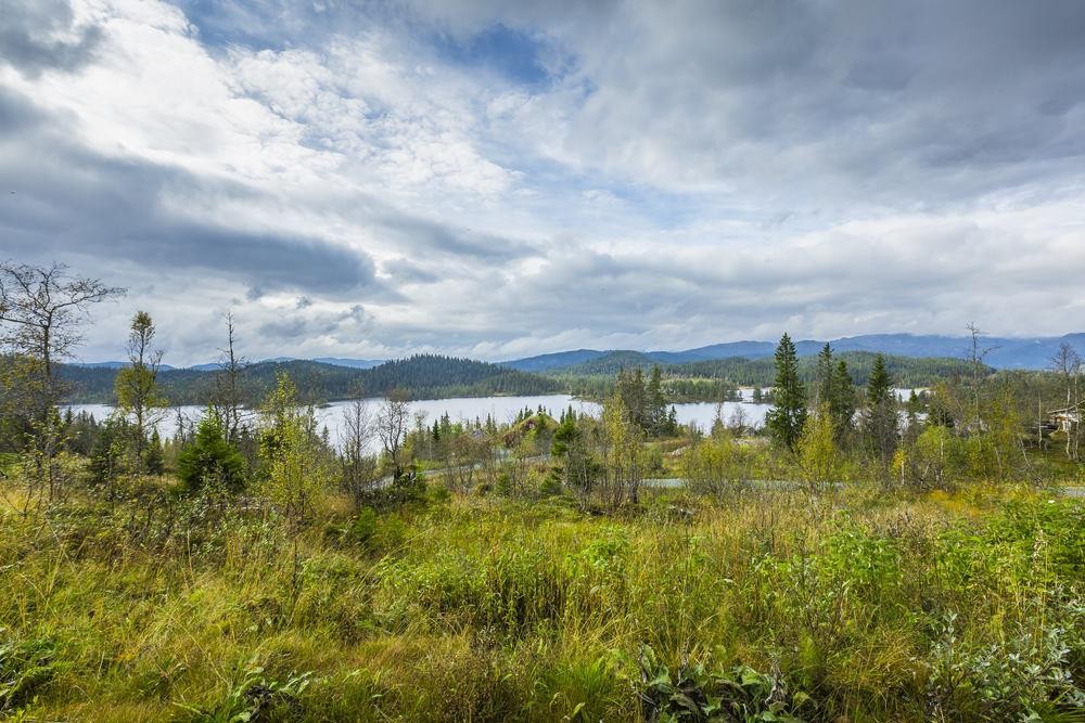 Fantastisk natur på alle kanter Galleribilde