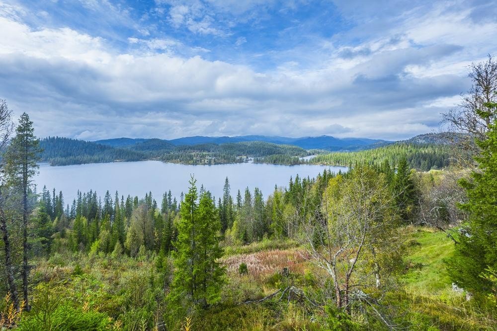 Med en flott utsikt og natur Galleribilde