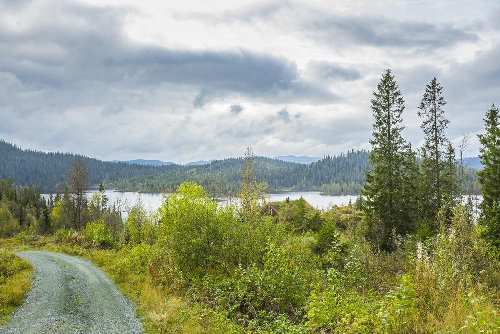 Kontakt oss gjerne Galleribilde