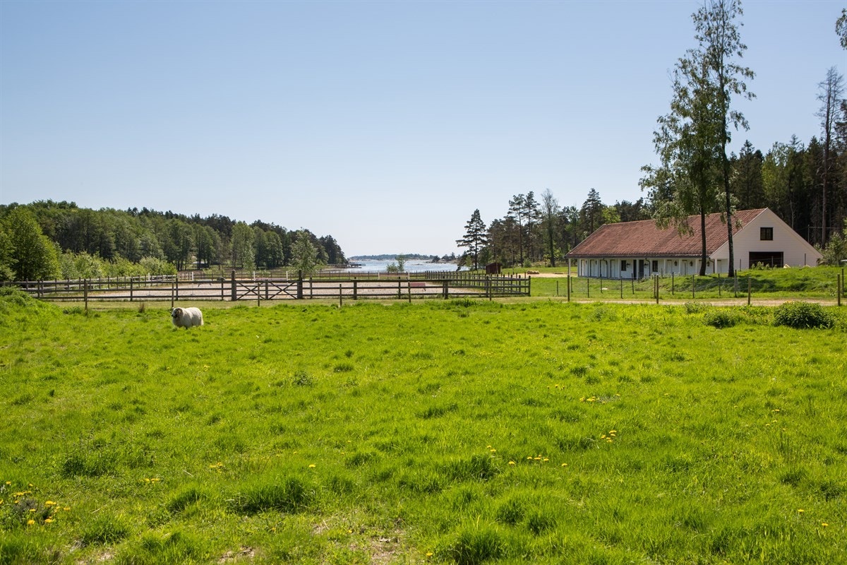 Eiendommen Galleribilde