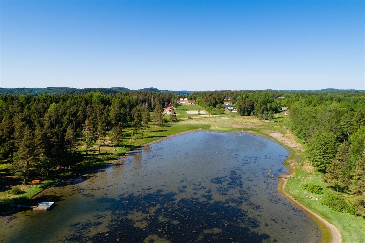Eiendommen Galleribilde