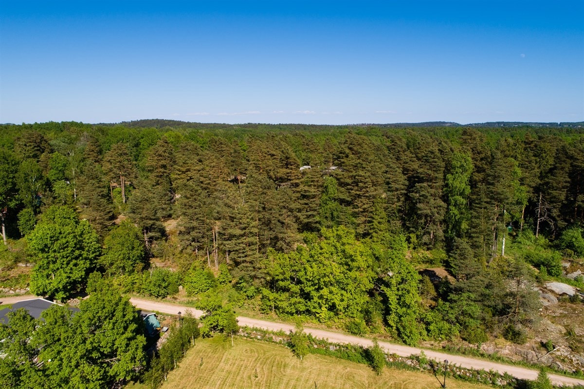 Tilstøtende tomter mot nordøst Galleribilde