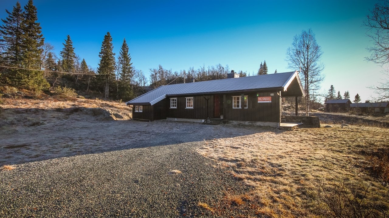 God plass til parkering foran hytta Galleribilde