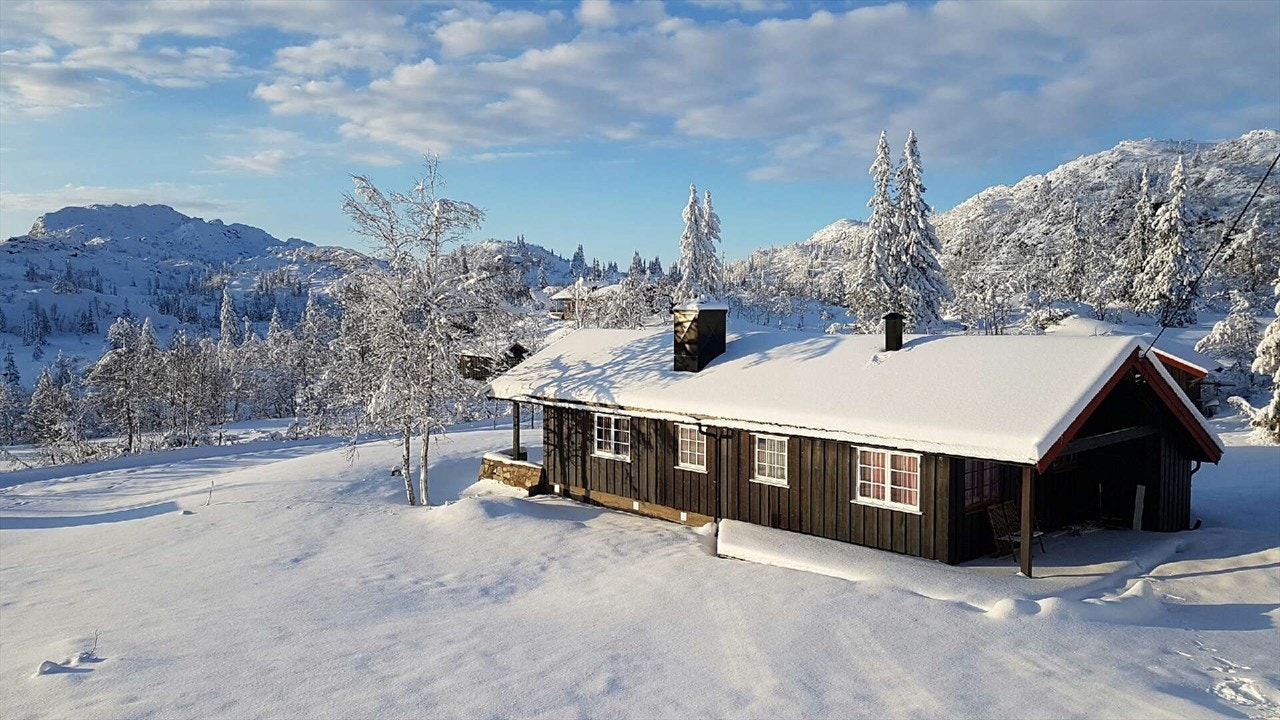 Stort hytteområde rundt hytta Galleribilde