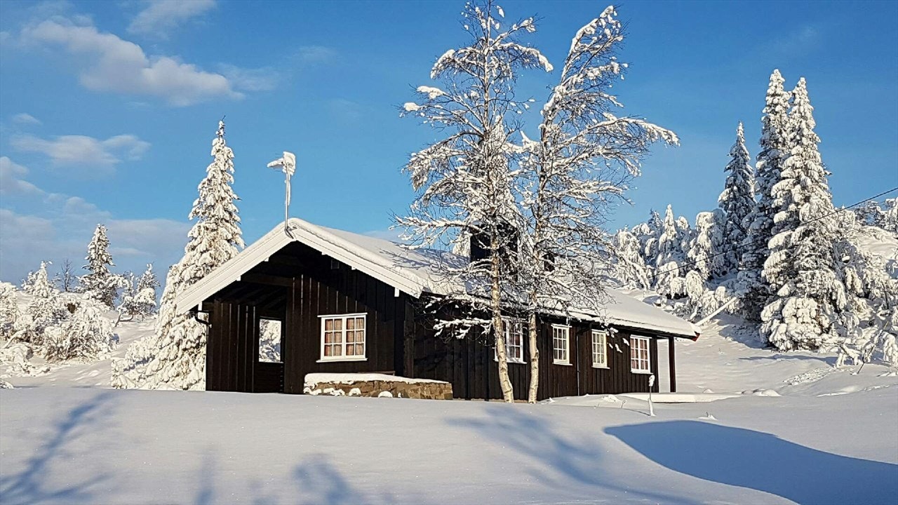 Øvre Kvambekk ligger 940 moh og er et snøsikkert område. 150 meter fra hytteveggen starter flotte skispor som prepareres ukentlig i sesongen og er knyttet til
Raulands eget løypenett . Galleribilde