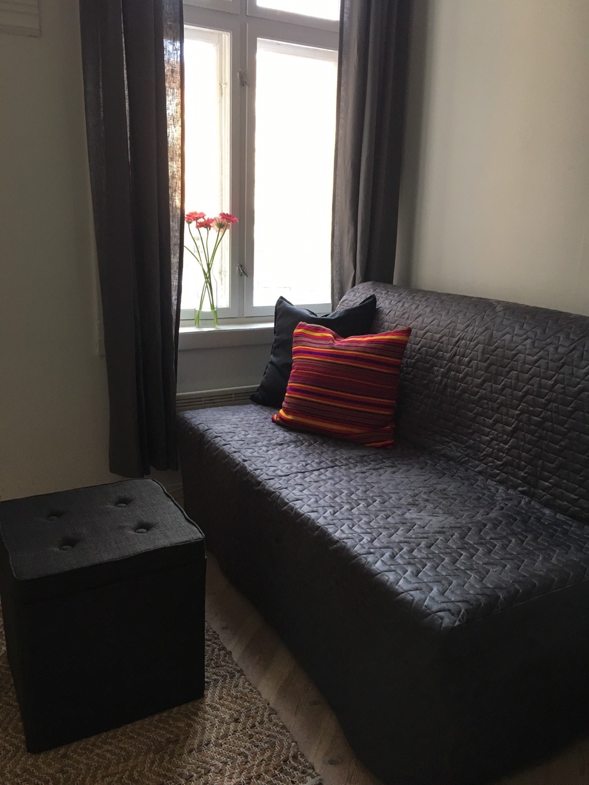 Gjesterom med sovesofa Galleribilde