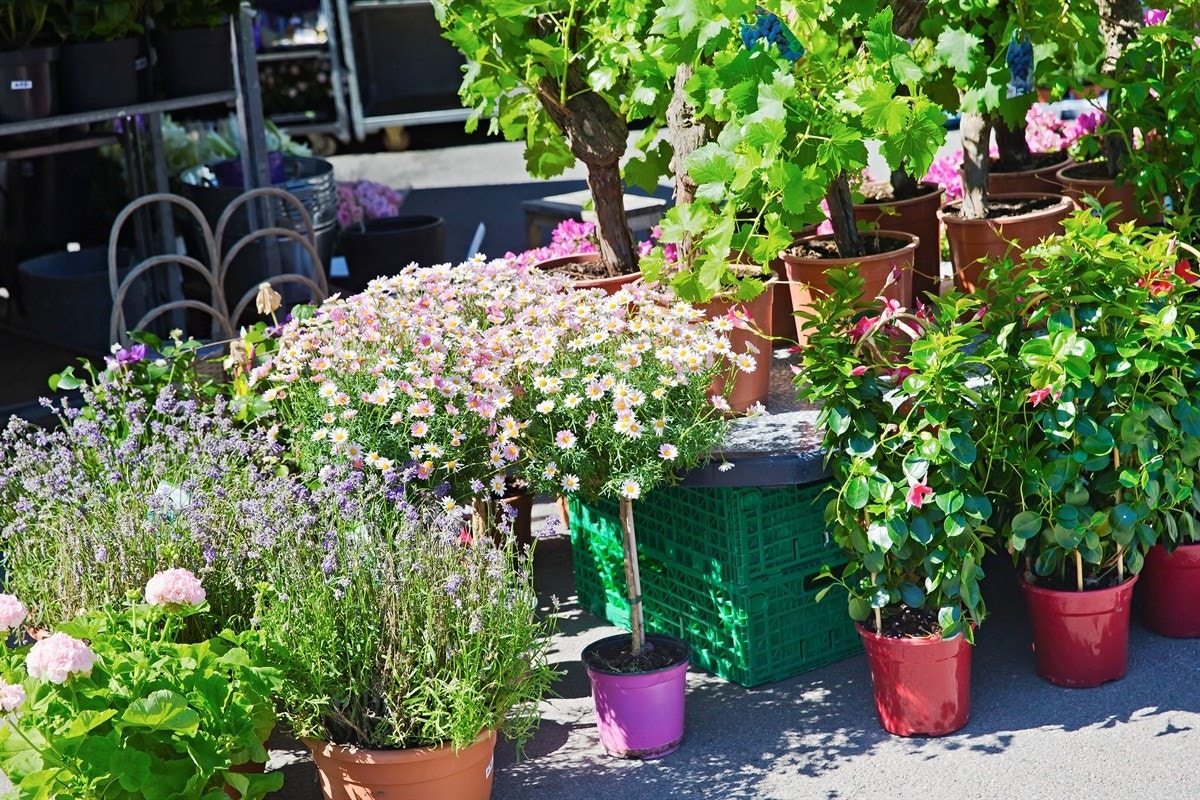 Nærmiljø Galleribilde