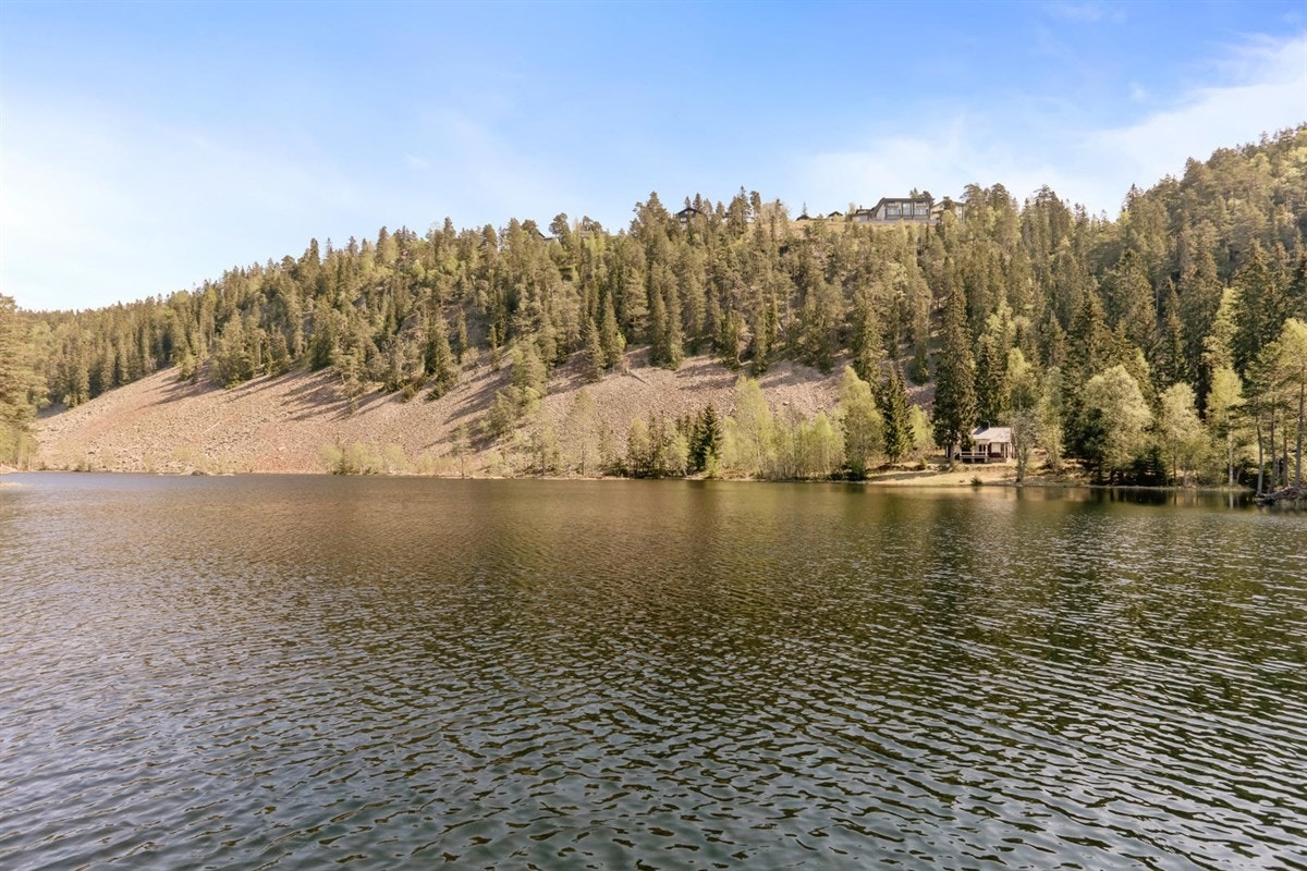 Fantastiske Strømsdammen. Legg søndagsturen til Oslos skjulte perle. Super for bading, grill og kos gjennom sommeren. Galleribilde
