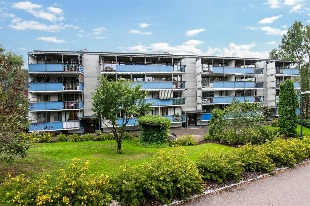 Man kan gå på ski opp til Bogstad og videre inn i marka, eller sykle opp samme vei til Østern Brug Ridesenter ved Fossum. Røa bad fremstår som et lekkert anlegg med bl.a. 25-meter basseng, spa/terapibasseng m.m. Galleribilde