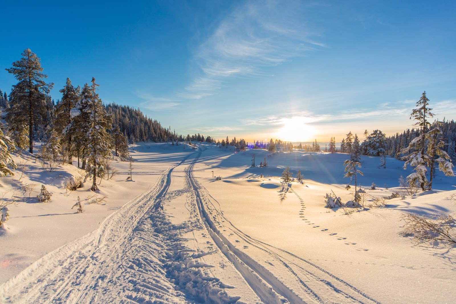 Bymarka like ved som byr på gode turmuligheter sommer som vinter. Galleribilde