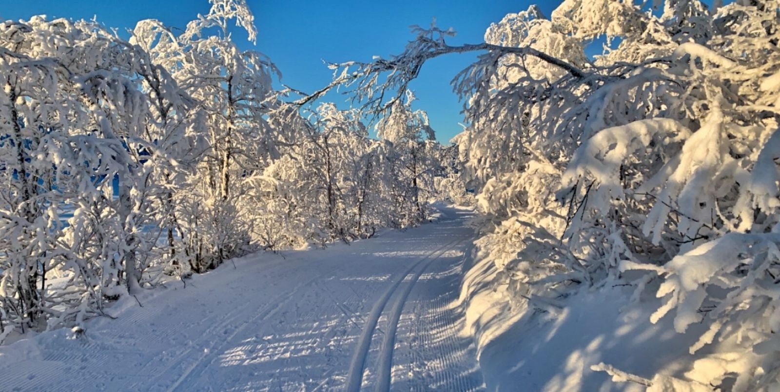 Nydelige langrennsløyper rett utenfor hyttedøra Galleribilde