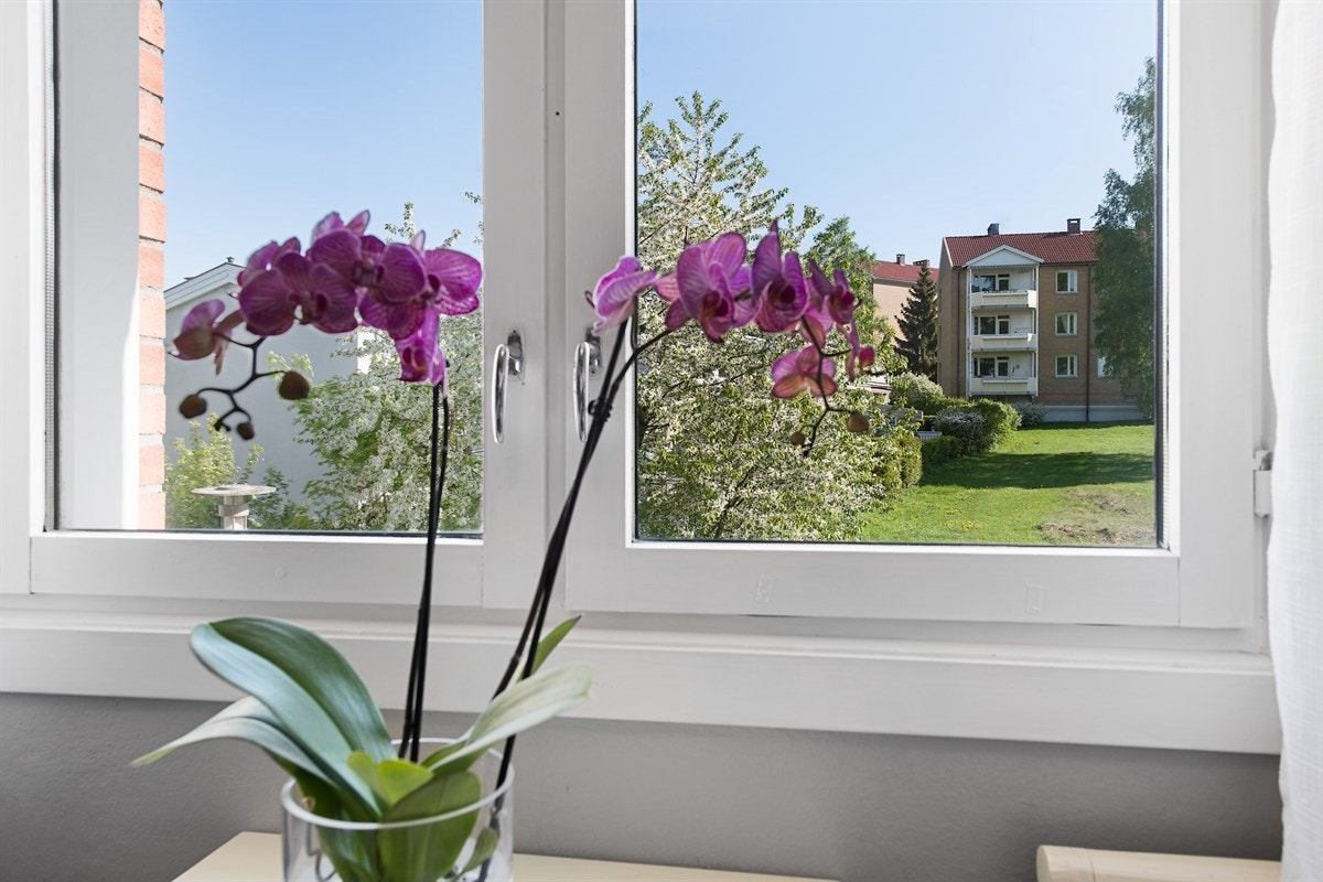 Vindusutsikt Galleribilde