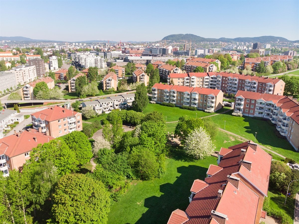 Grønne parker og turområder Galleribilde