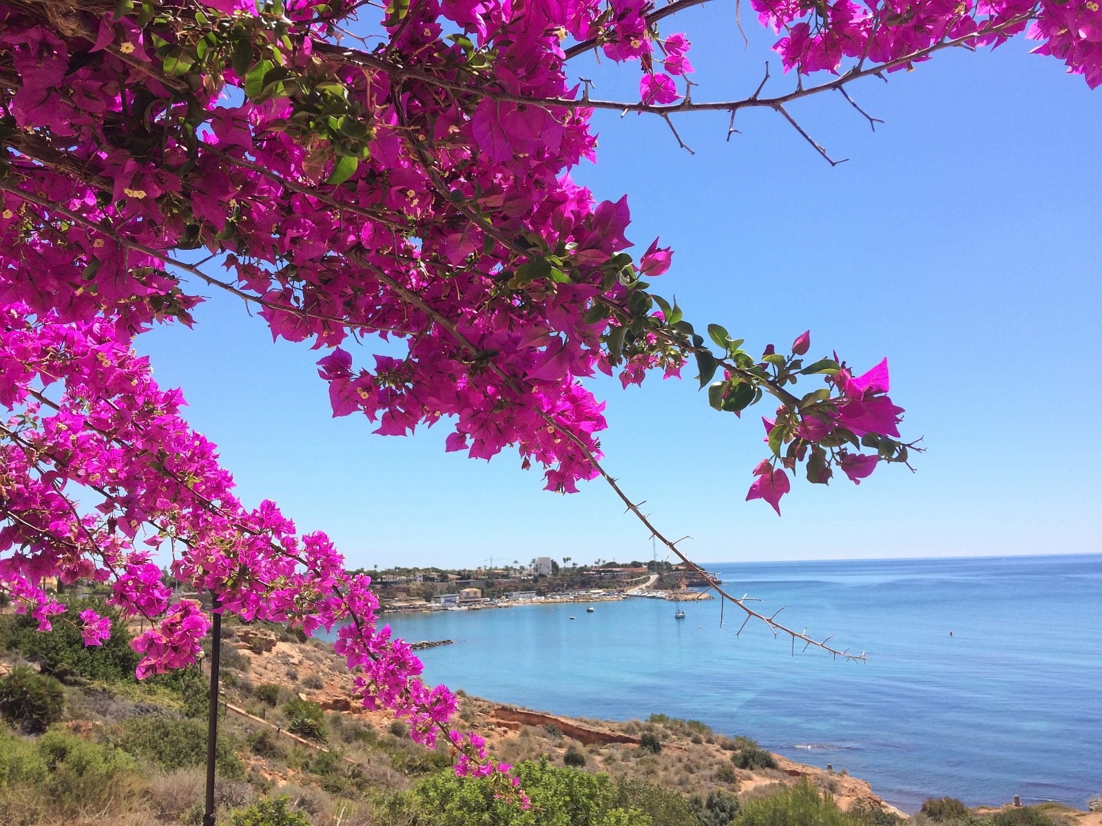 Fantastiske turmuligheter med gangveger langs hele Cabo Roig. Galleribilde