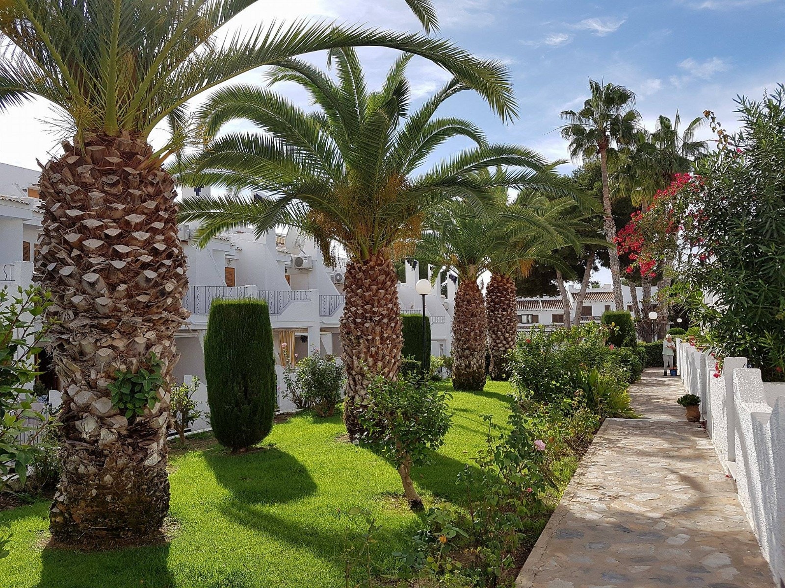 Fint og frodig fellesareale mellom leilighetene. Galleribilde