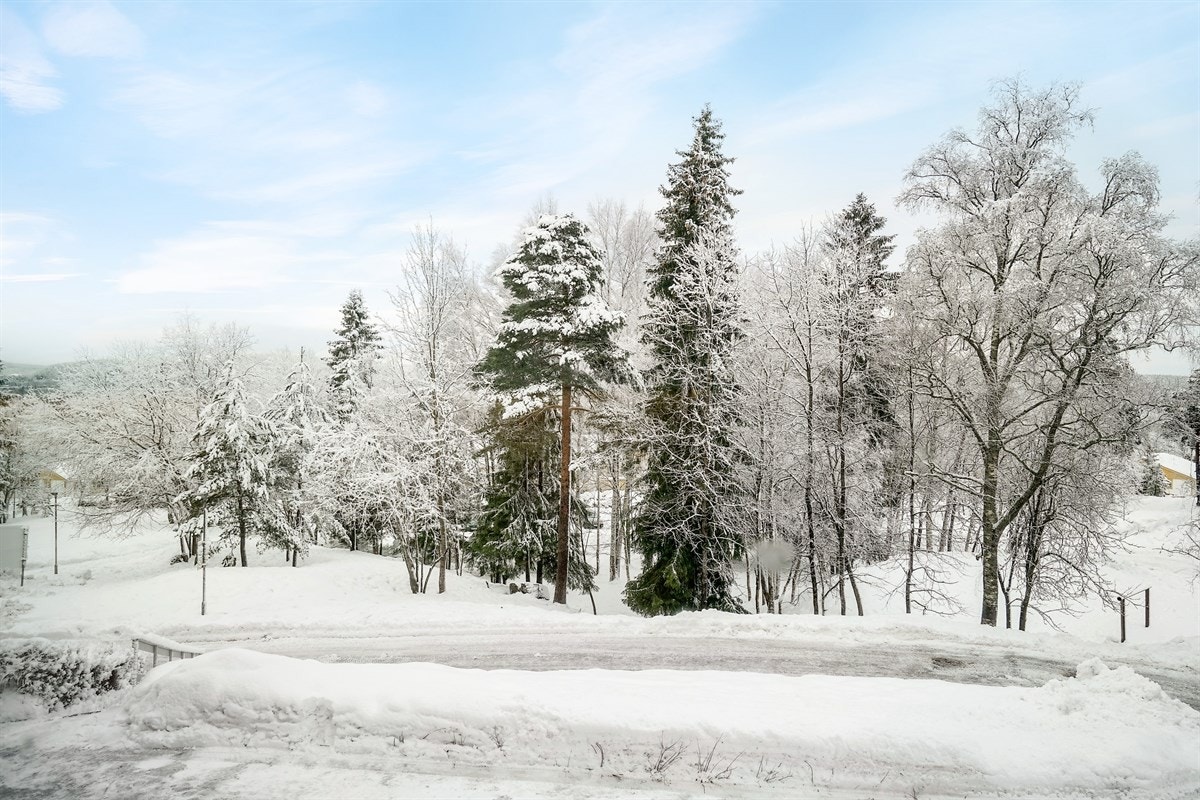 Utsikt fra balkong. Galleribilde