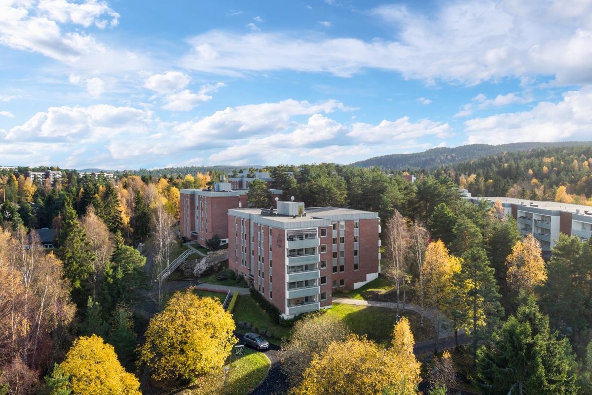 Eiendommen er delvis naturtomt med mye skog, og er ellers pent opparbeidet med plenarealer og fine beplantninger. Galleribilde