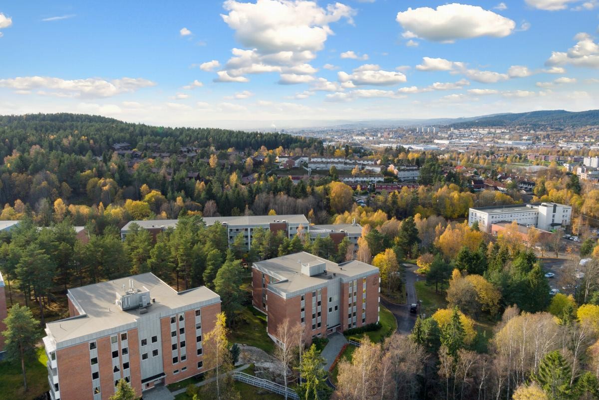 God offentlig kommunikasjon tar deg til sentrum på ca. 20 min, og med bil går det enda kjappere. Galleribilde