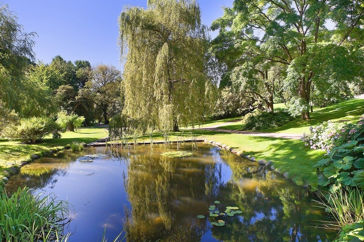 Mange fine parker i nærområde Galleribilde