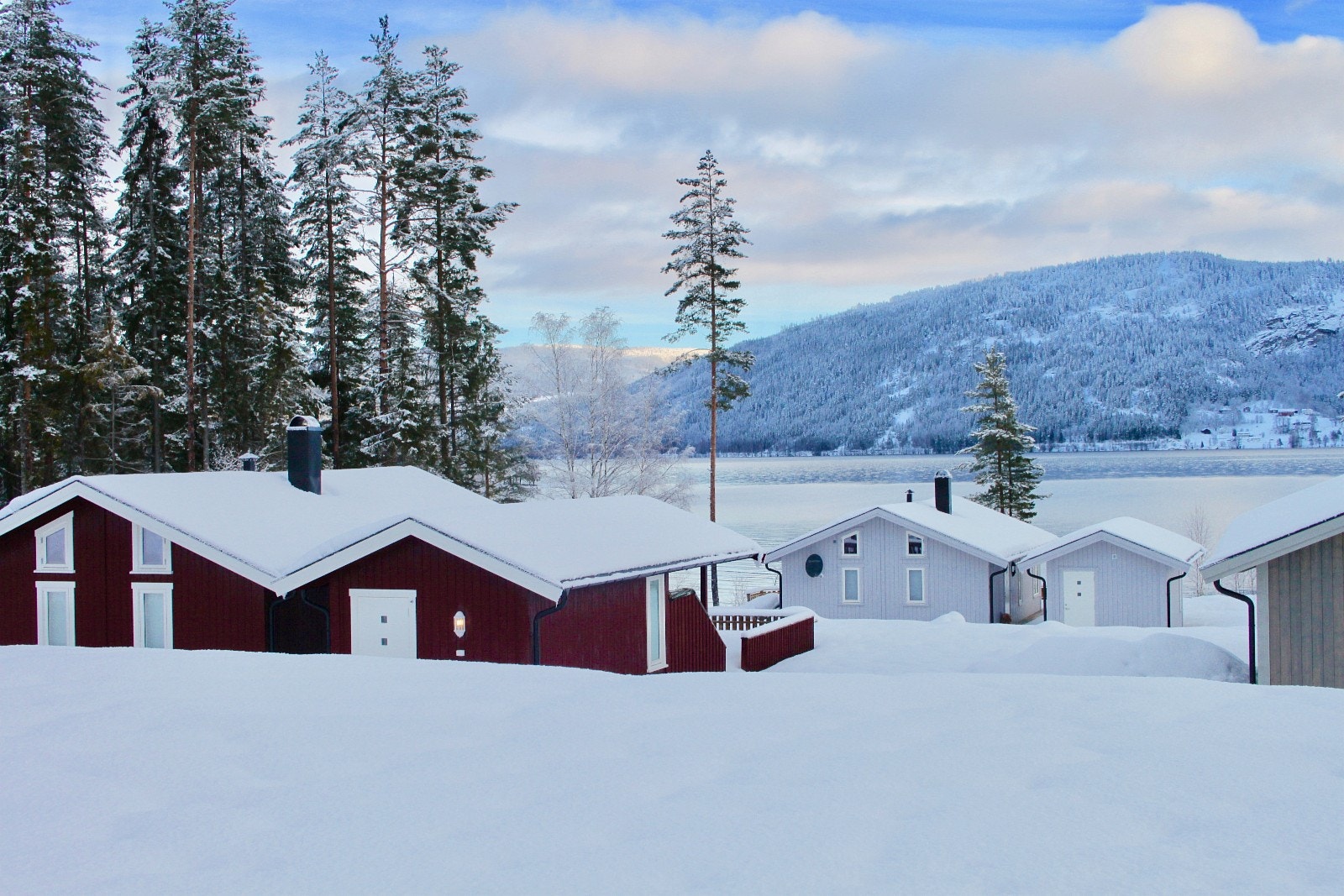 Vinter i hyttegrenda. Galleribilde