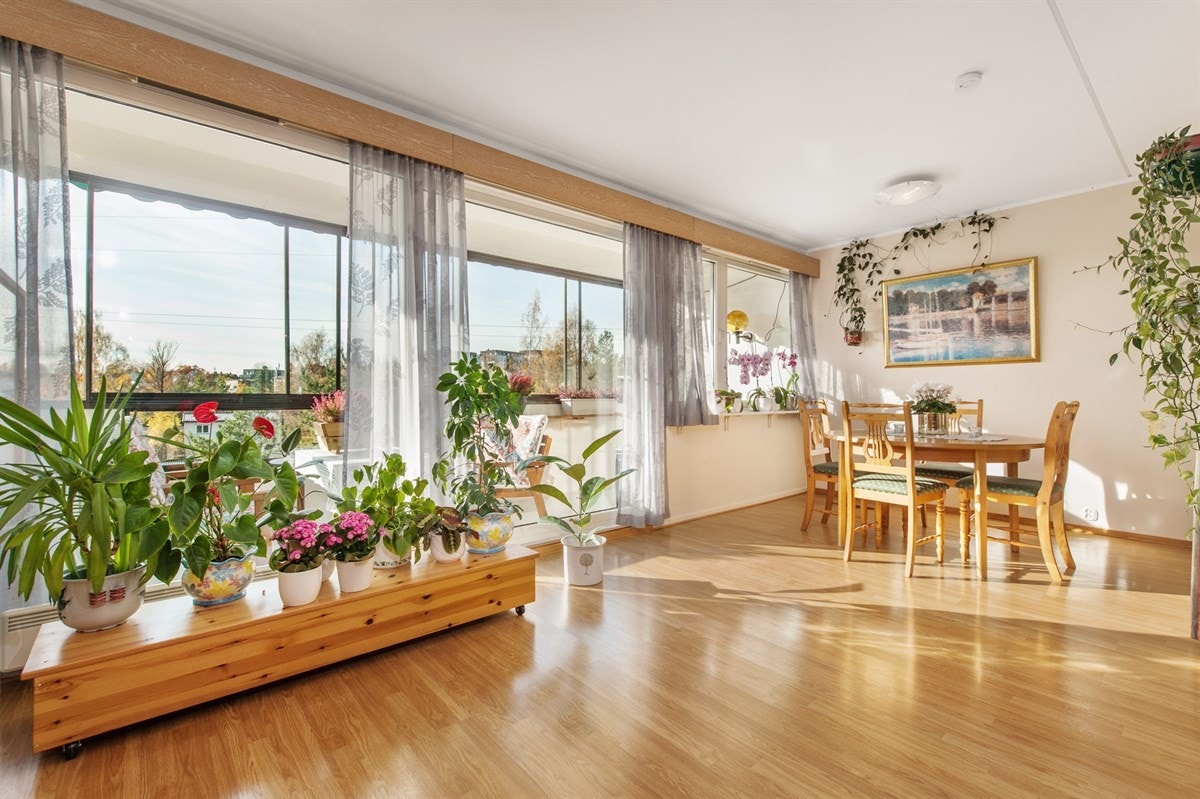 Store vindusflater mot vest med god utsikt og lysforhold. Galleribilde