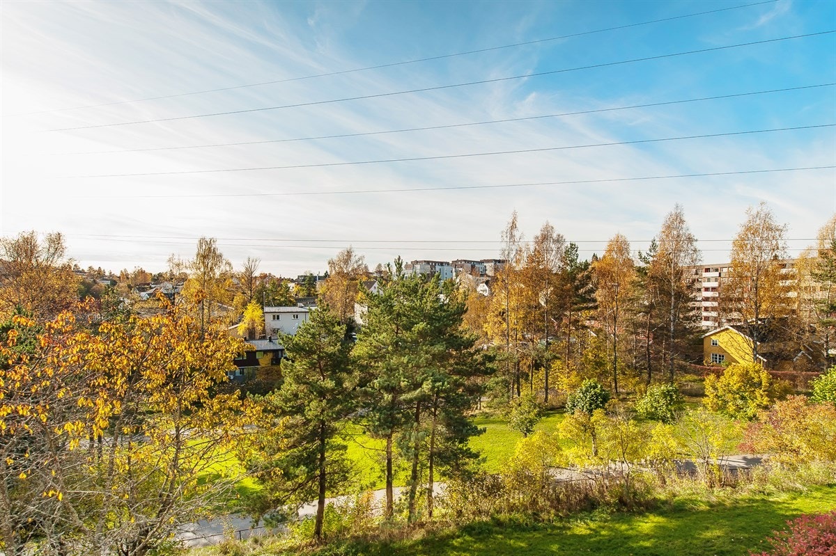 Mange flotte turmuligheter rett utenfor stueveggen. Galleribilde