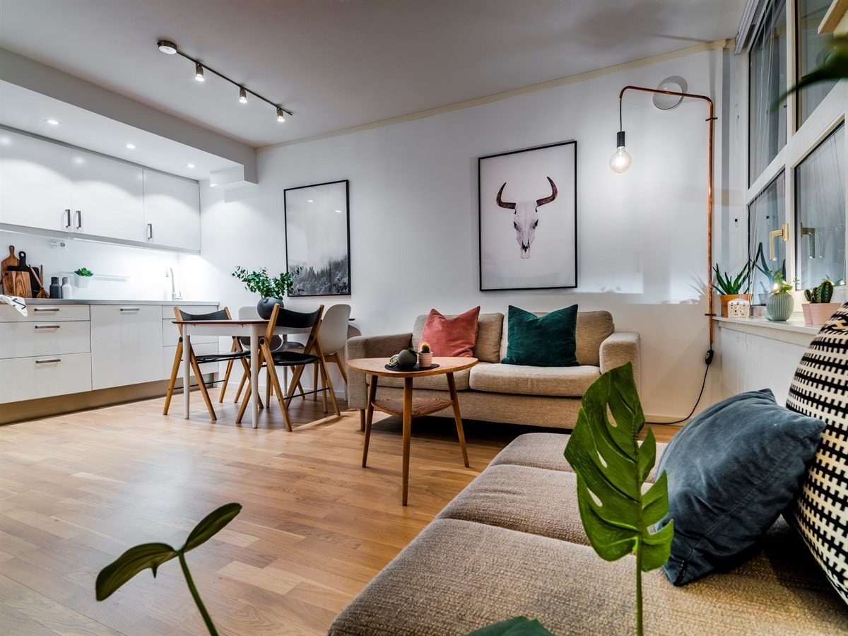 Her får du en god romfølelse! Galleribilde