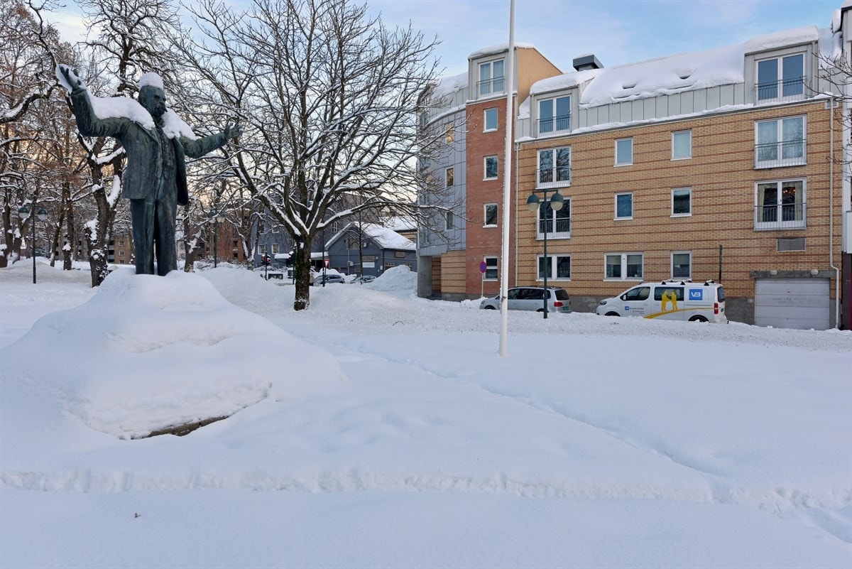 Fra bygget er det direkte adkomst til asfaltert fortau med beplantninger, og like ved er det pent opparbeidede grøntarealer. Galleribilde