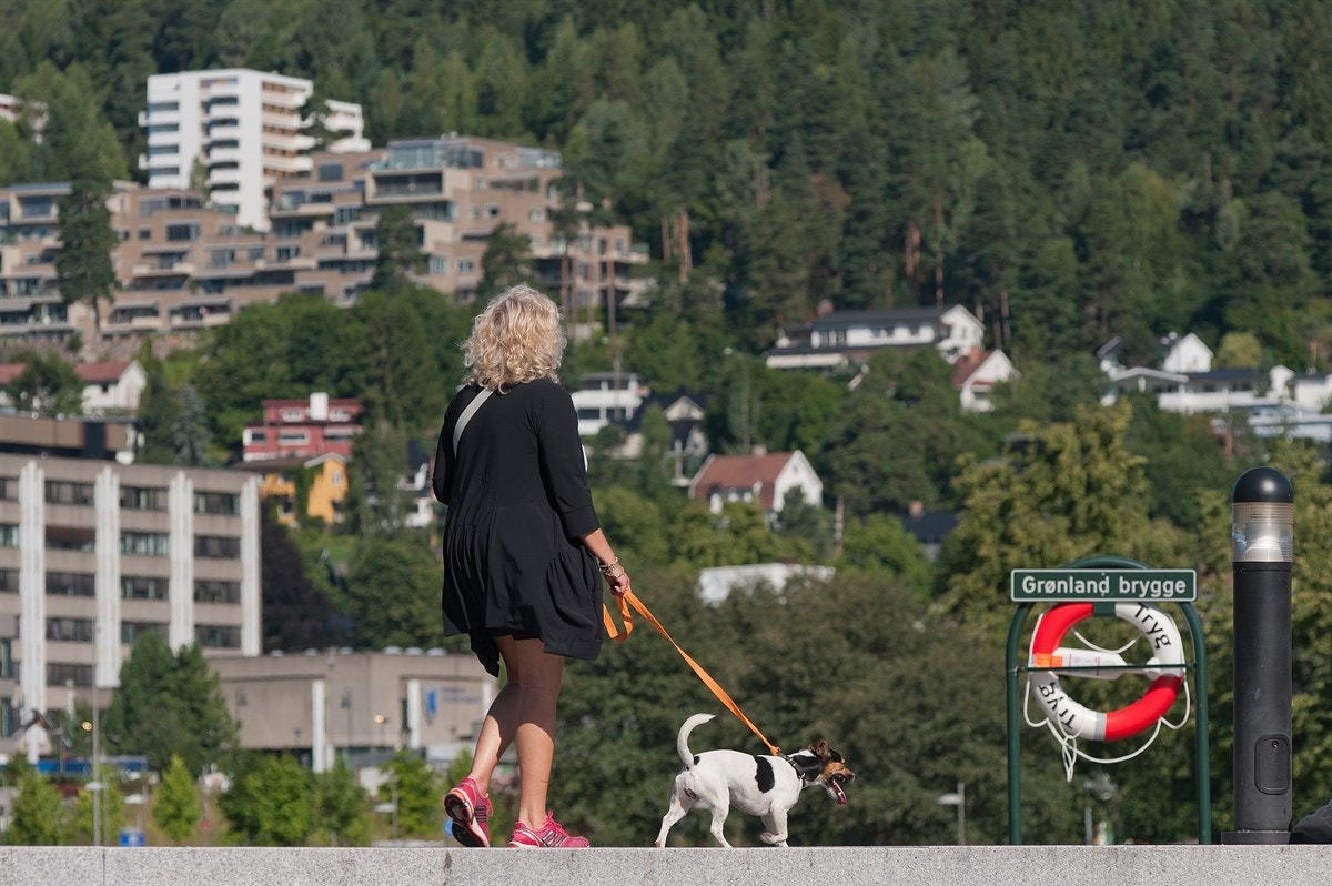 Kort avstand til alt. Galleribilde