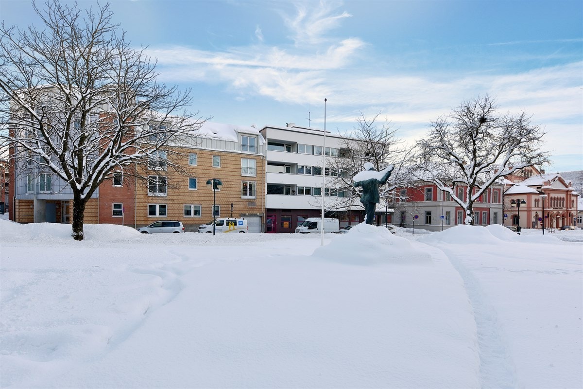 Fra bygget er det direkte adkomst til asfaltert fortau med beplantninger, og like ved er det pent opparbeidede grøntarealer. Galleribilde