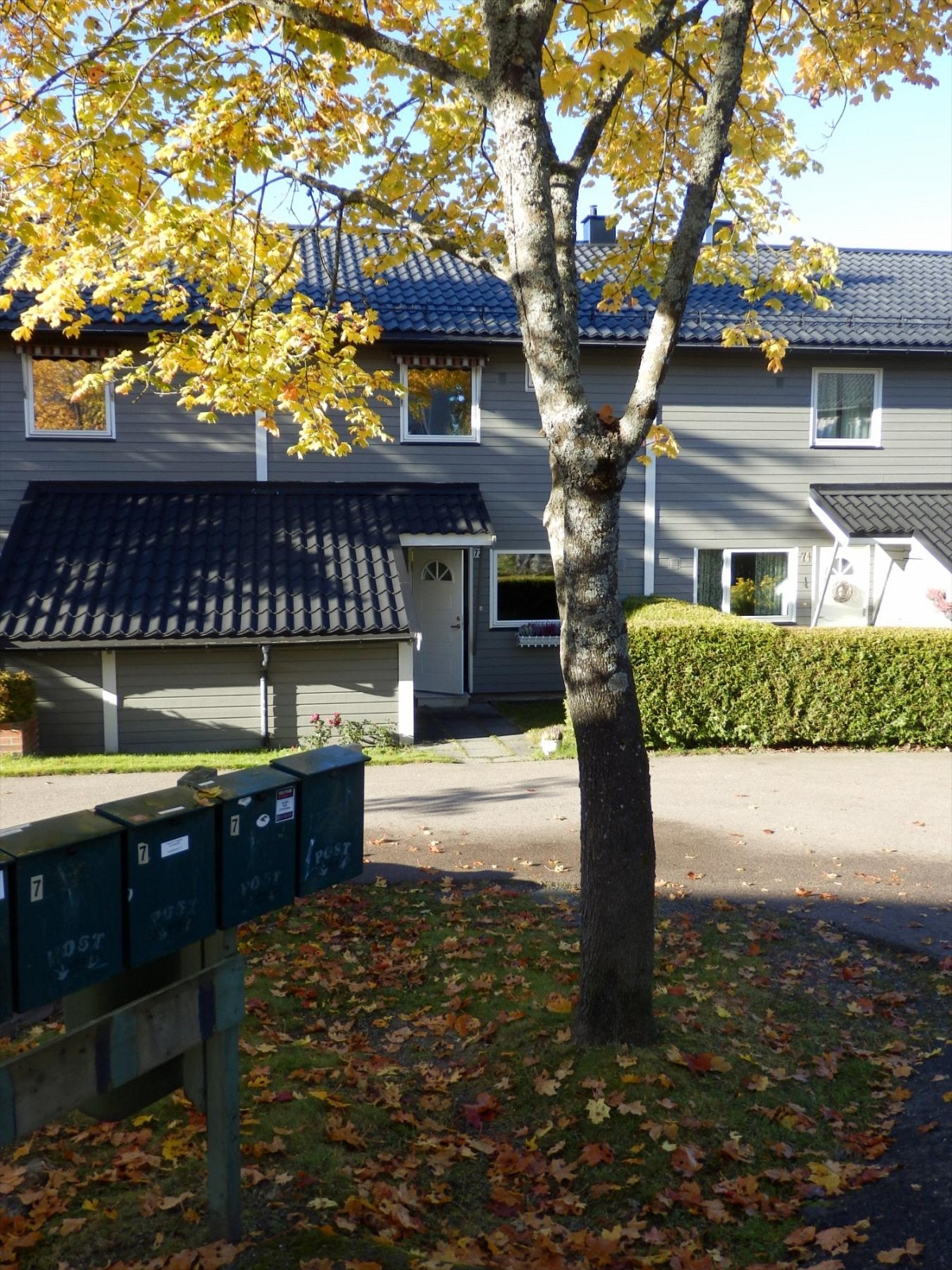 Sommer/høstbilde av inngangspartiet Galleribilde