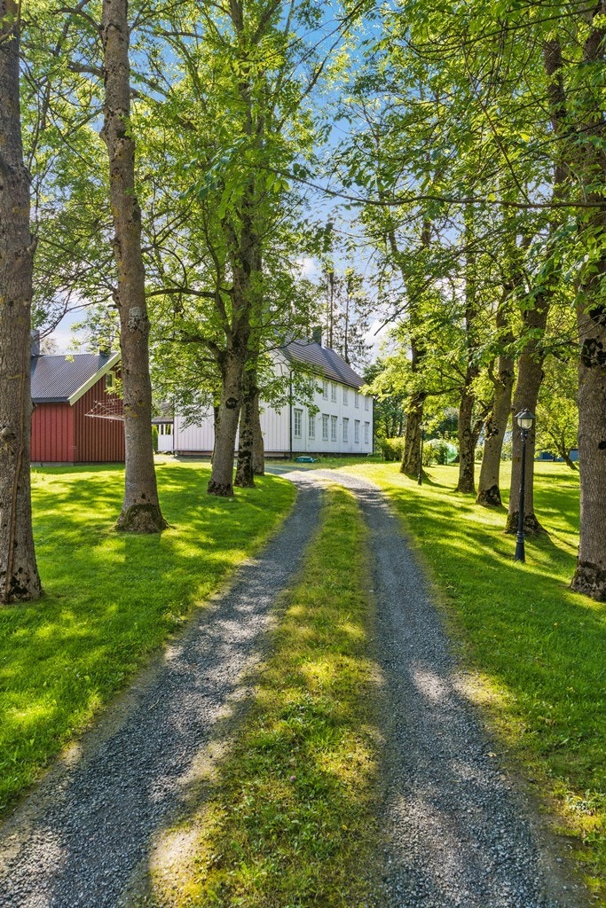 Allè - Innkjørsel til eiendommen Galleribilde