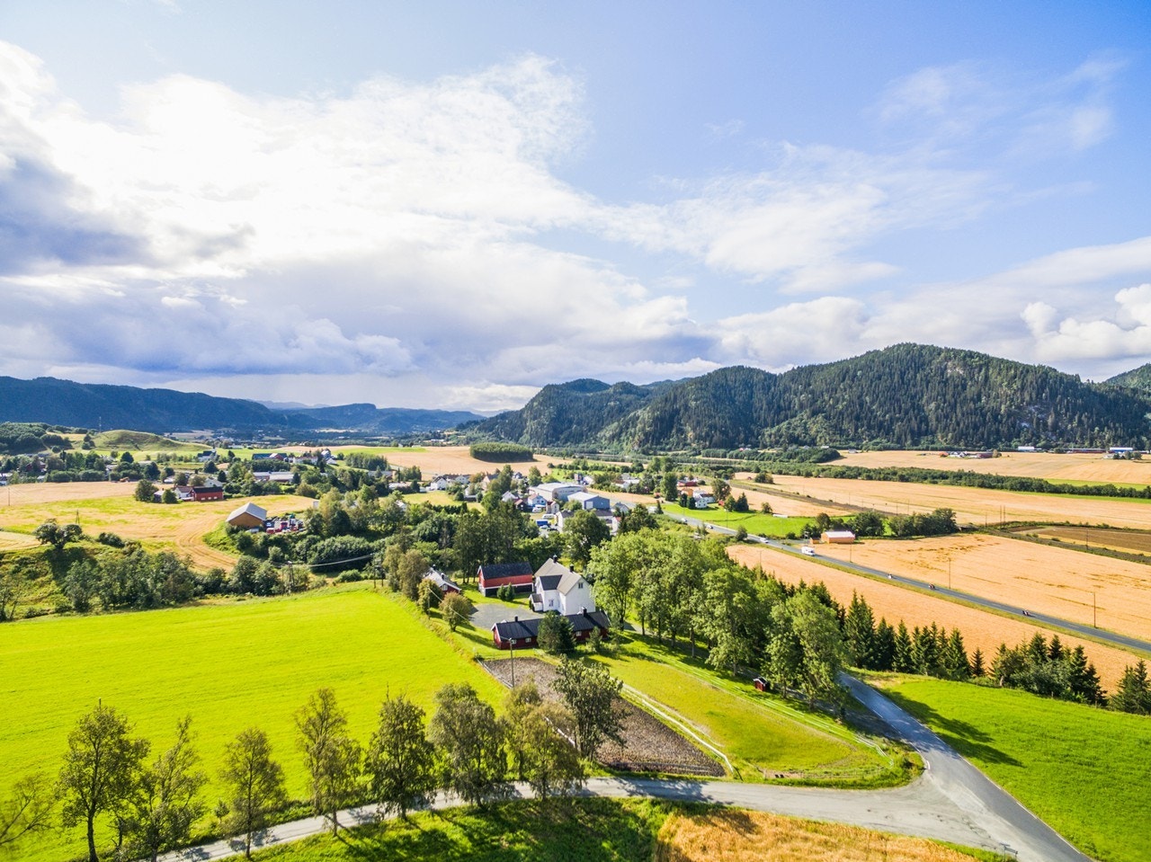 Borkny gård ligger sentralt på Ler, med en meget usjenert beliggenhet Galleribilde