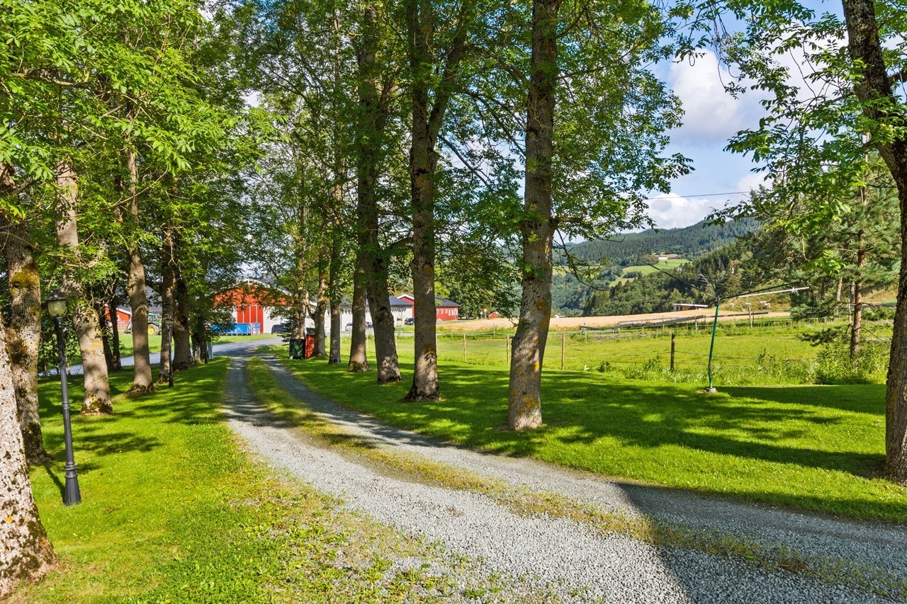 En vakker allè møter deg når du svinger opp veien inn mot tunet Galleribilde