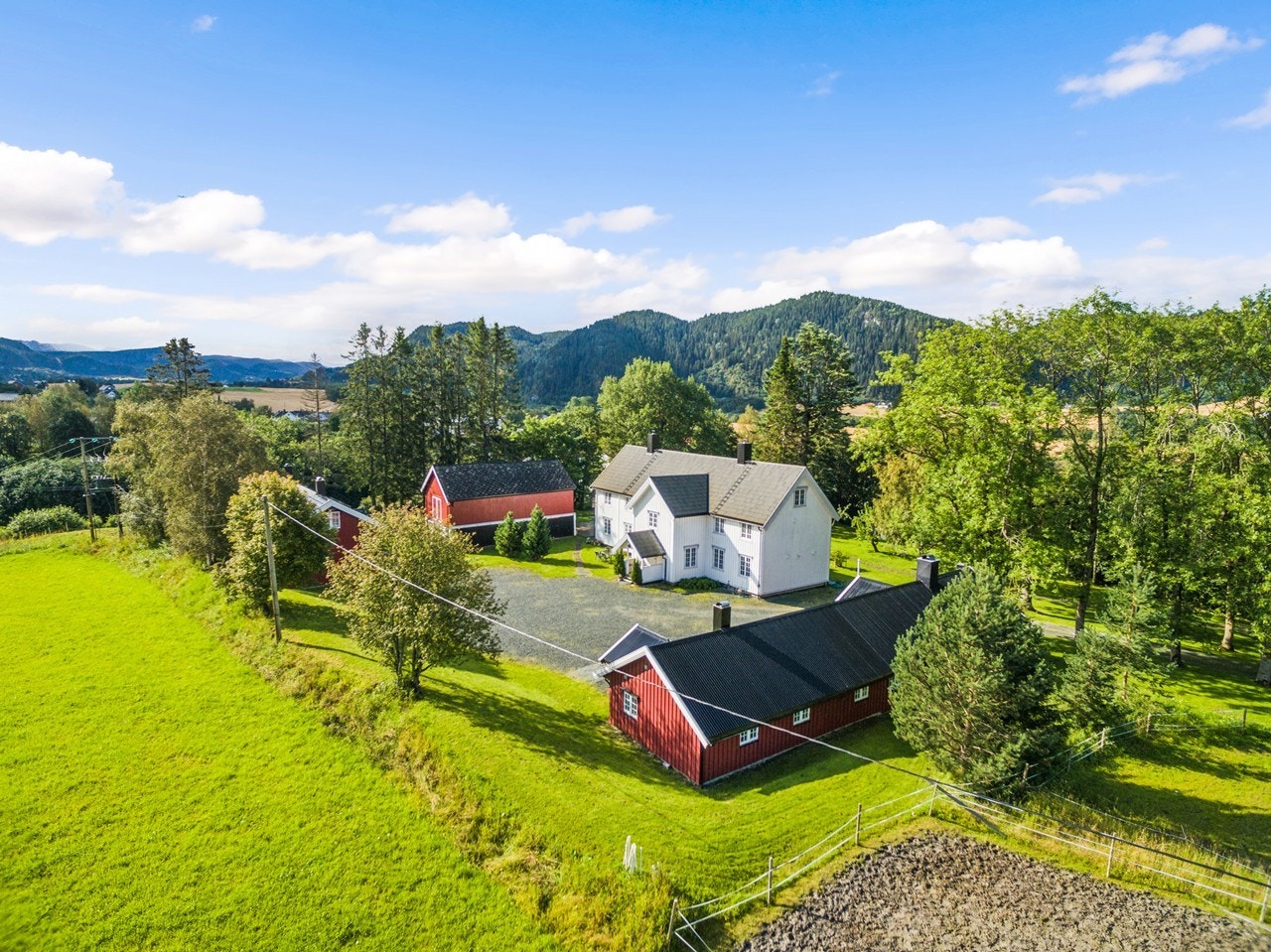 Sommerbilde Galleribilde