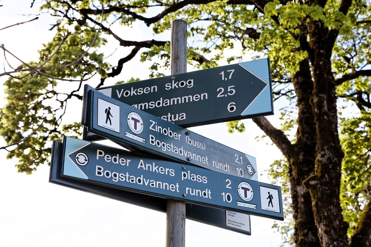 Flotte turområder i nærområdet Galleribilde