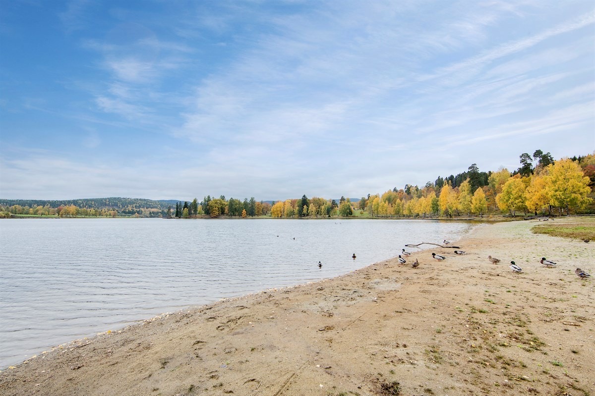 Flotte turområder i nærområdet Galleribilde