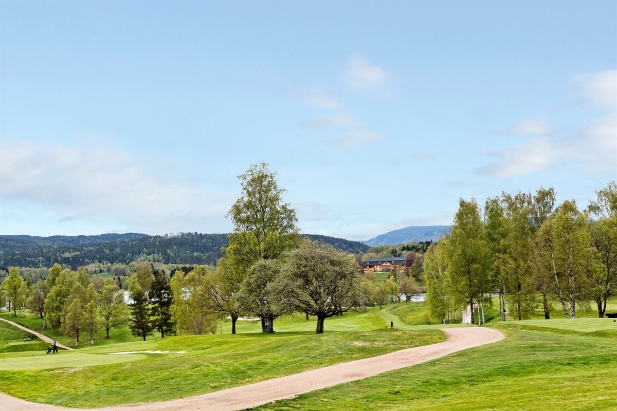 Flotte turområder i nærområdet Galleribilde