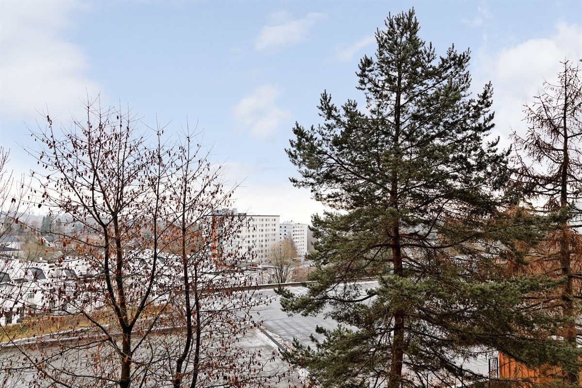 Utsyn fra leiligheten Galleribilde