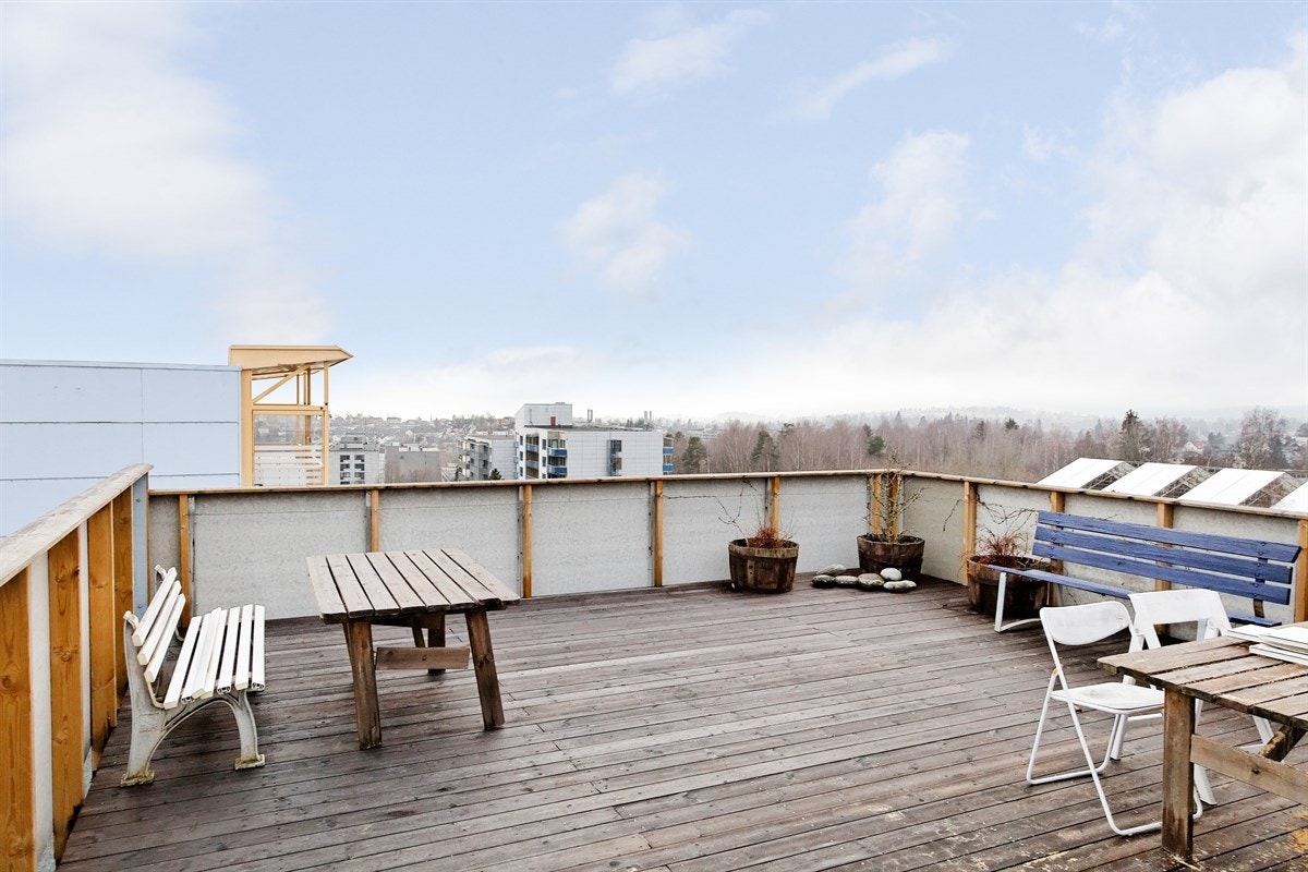 Felles takterrasse Galleribilde