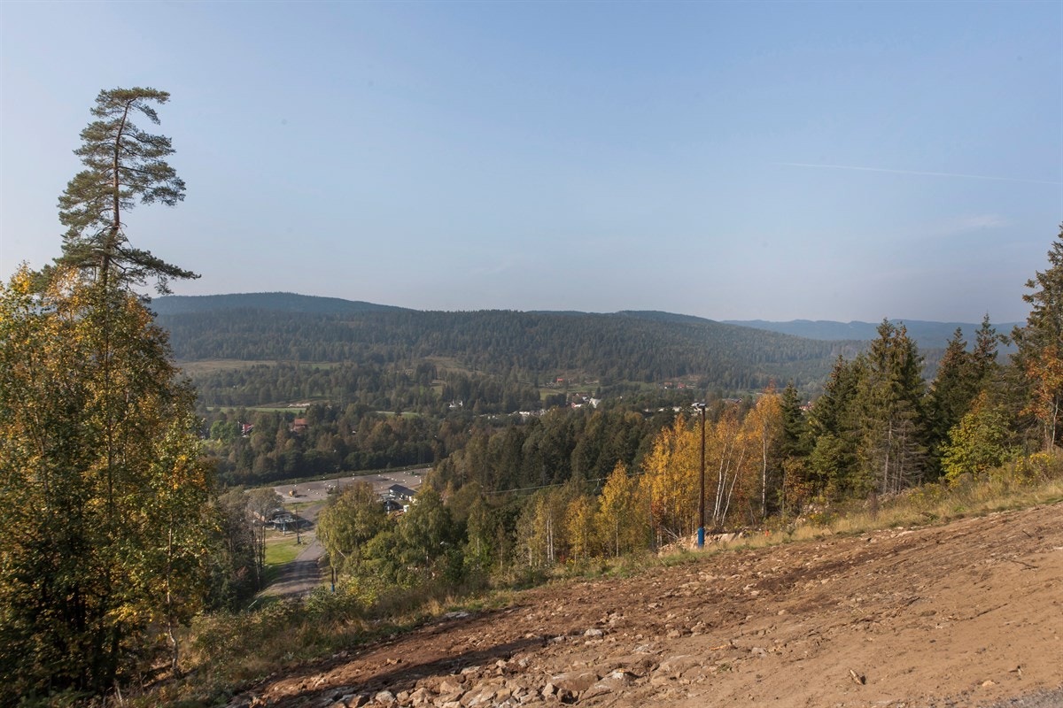 Flott utsikt over Sørkedalen Galleribilde