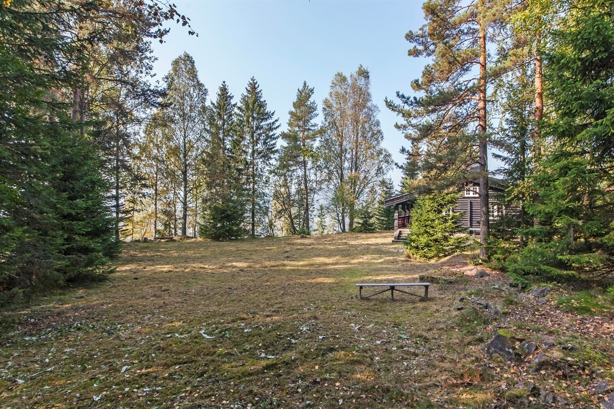 Eiendommen på nær 14 mål ligger usjenert, midt i Wyllerløype Galleribilde
