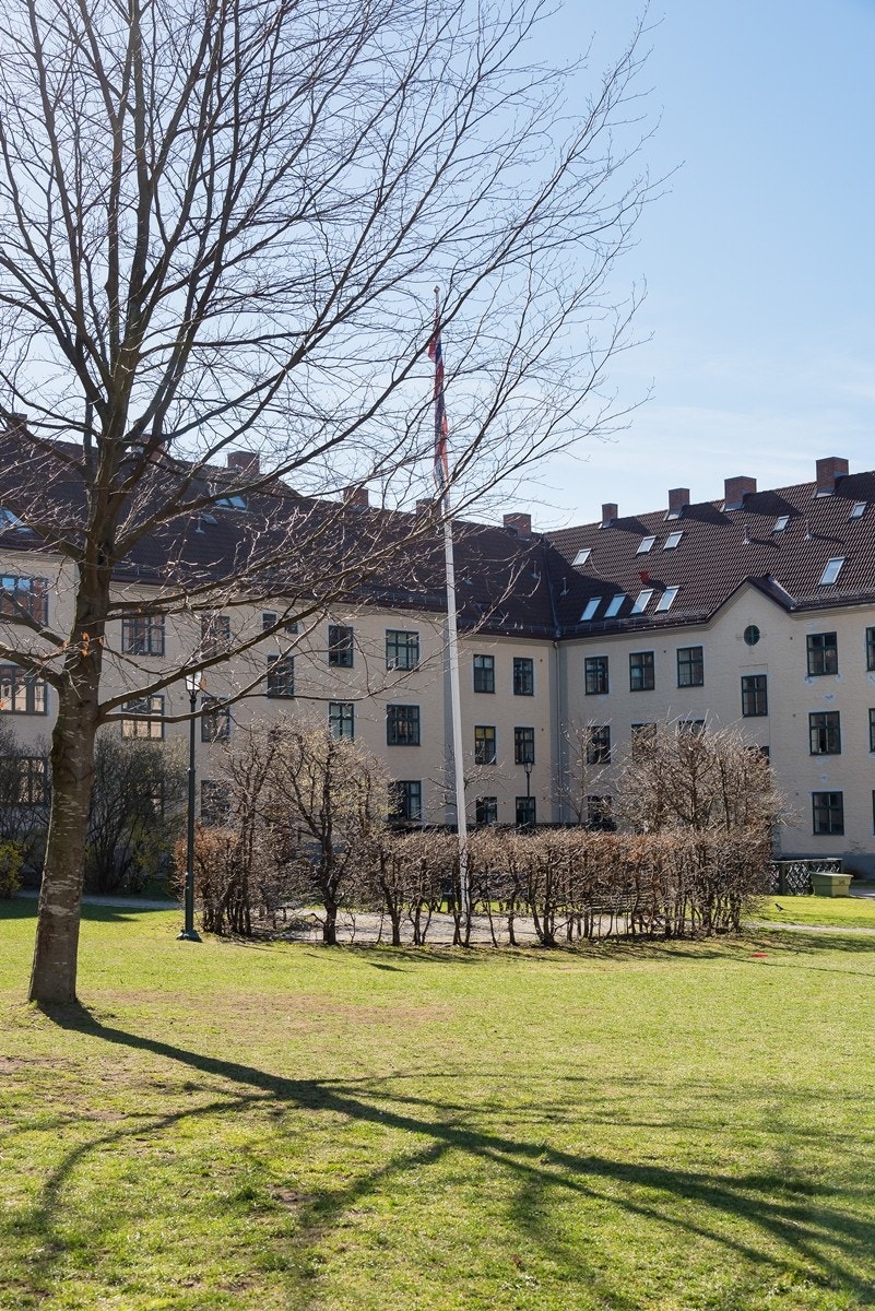 Borettslaget har en egen hagegruppe som ivertar og utvikler deres flotte fellesareal. Videre har også borettslaget et eget Ølbryggeri. Et felles bryggeri for alle beboerne i Frankrikegården. Galleribilde